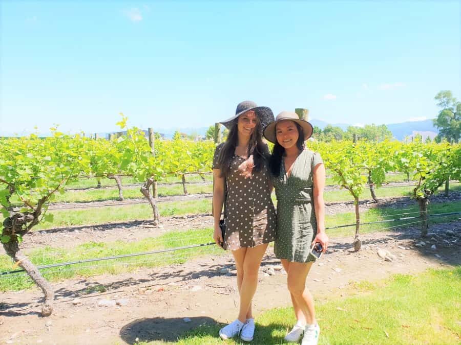 Marlborough: Full Day "Winemaker's Tour" - Key Things That Make This Marlborough Winemaker Tour a Winner