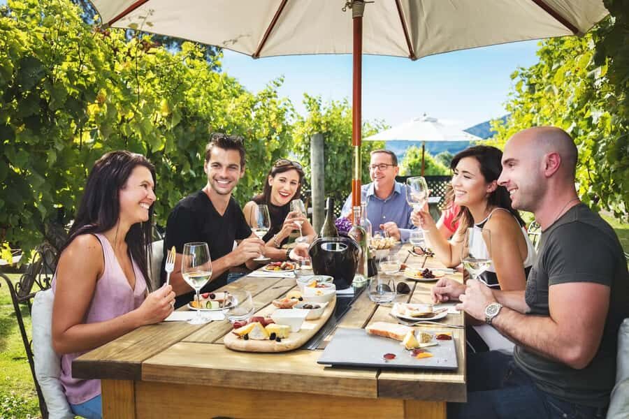 Marlborough: Full Day "Winemaker's Tour" - A Winemaker Tour You Can Actually Use to Learn (and Sip)