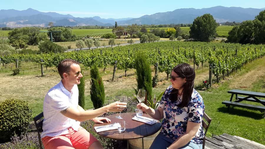 Marlborough Half-Day Wine Tour from Blenheim - Price and value: what $125 covers, and what you should plan for