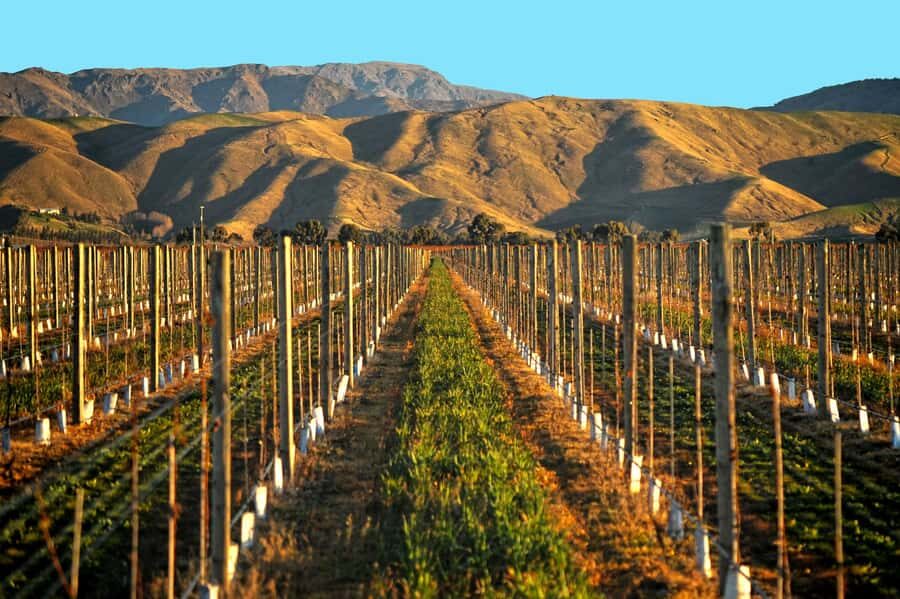 Marlborough Half Day Wine Tour From Picton 1pm - Stop-by-stop: what you can expect from the winery visits