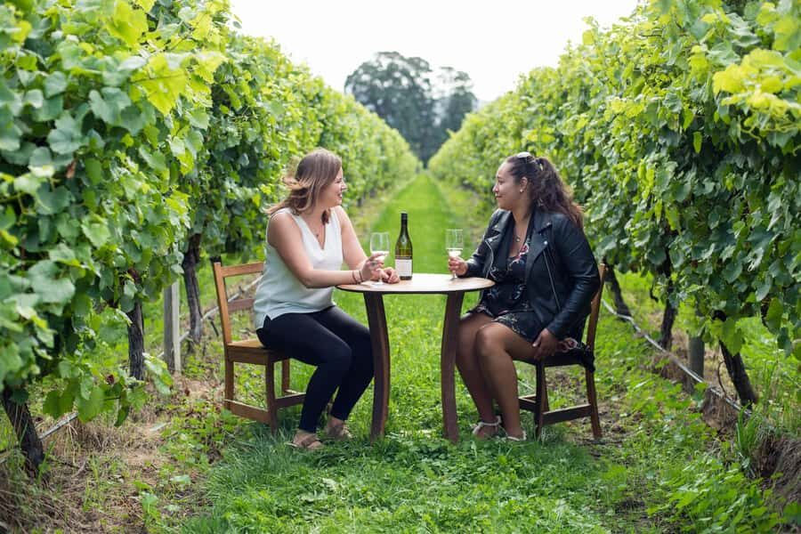 Marlborough Half Day Wine Tour From Picton 1pm - Picton vs Blenheim pickup: the schedule that matters