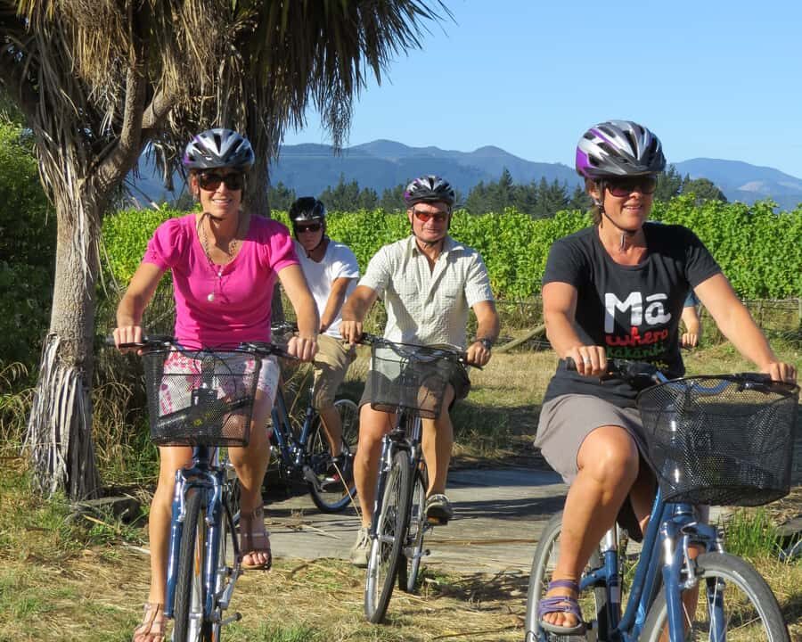 Marlborough: Half Guided and Half Self-Guided Bike Wine Tour - Key things to know before you ride
