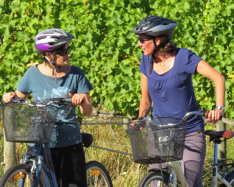 Marlborough: Half Guided and Half Self-Guided Bike Wine Tour - Why Marlborough on a bike fits this wine region