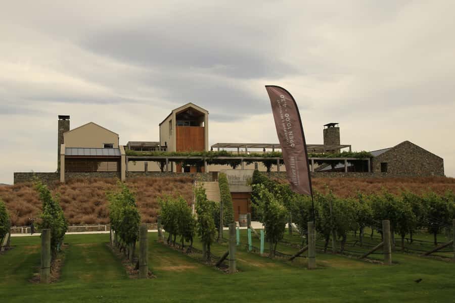 Marlborough: Hop-On Hop-Off Wine, Brewery, and Wonders Tour - Key takeaways before you go