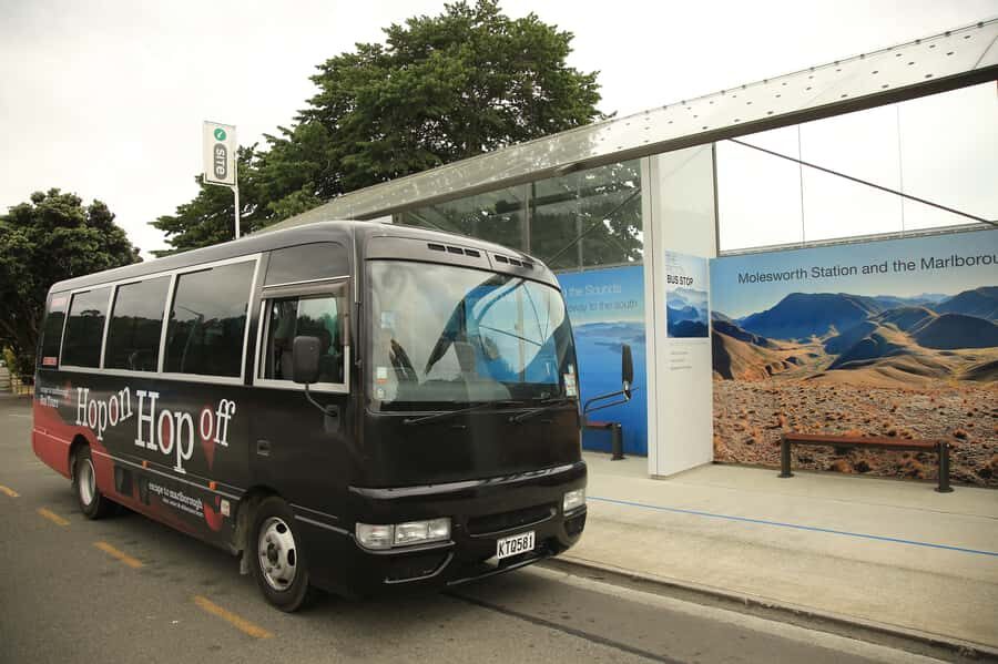 Marlborough: Hop-On Hop-Off Wine, Brewery, and Wonders Tour - Picton or Blenheim Pickups and the Timetable Rhythm