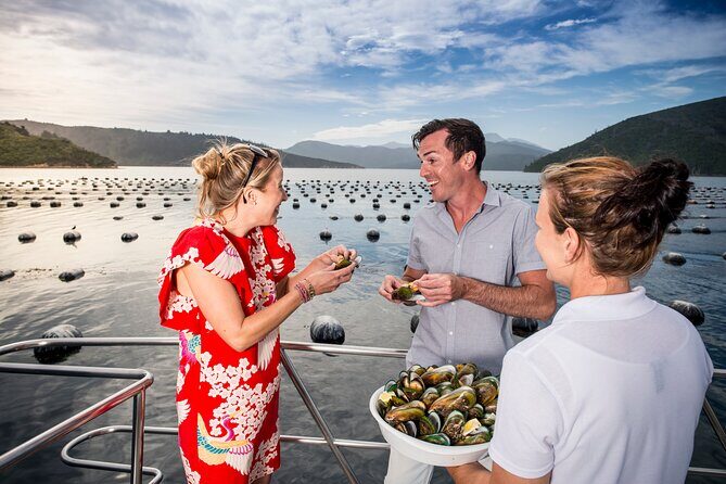 Marlborough Icons Tour - Wine tasting + Cruise - Value for $198.58: what your money is really buying