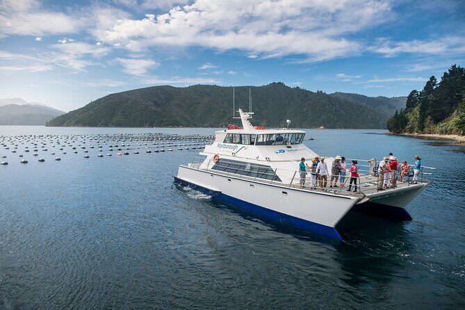 Marlborough Icons Tour - Wine tasting + Cruise - Timing and fit: when this tour matches your plans