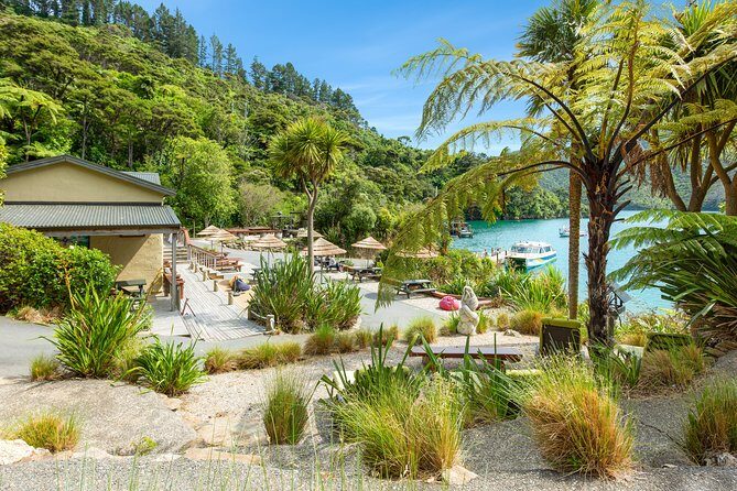 Marlborough Sounds Day Visit to Lochmara - Key things to know before you go to Lochmara