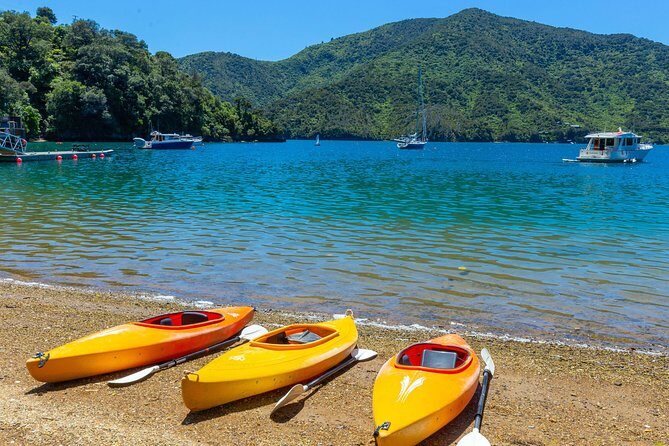 Marlborough Sounds Day Visit to Lochmara - Afternoon animal feedings: the part with a set time