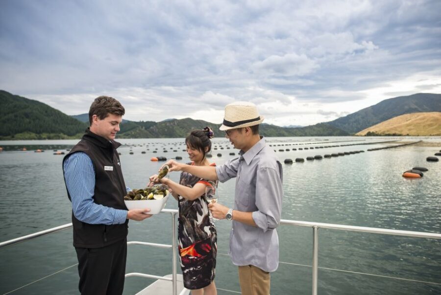 Marlborough Sounds: Greenshell Mussel Cruise - Marine farming and local stories: what the commentary adds to the scenery