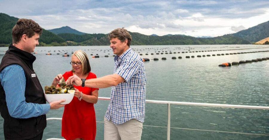 Marlborough Sounds: Greenshell Mussel Cruise - Price and value: is $107 per person a fair deal?
