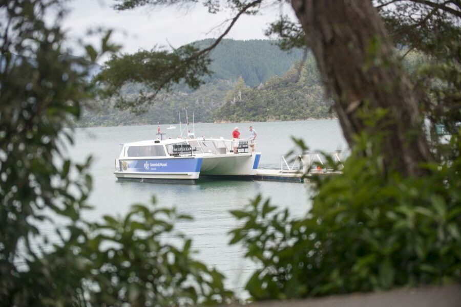 Marlborough Sounds: Greenshell Mussel Cruise - Practical logistics that actually matter on cruise day
