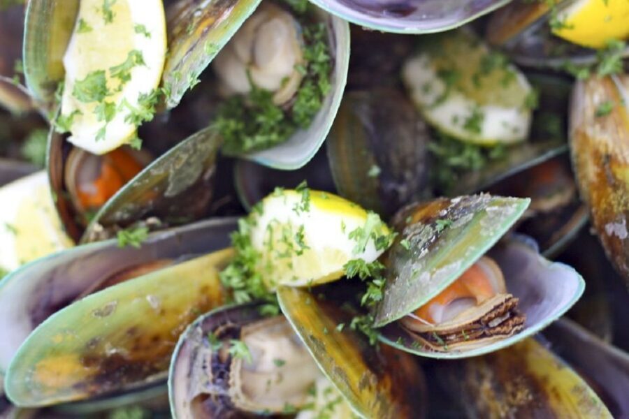 Marlborough Sounds: Greenshell Mussel Cruise - Should you book the Marlborough Sounds Greenshell Mussel Cruise?