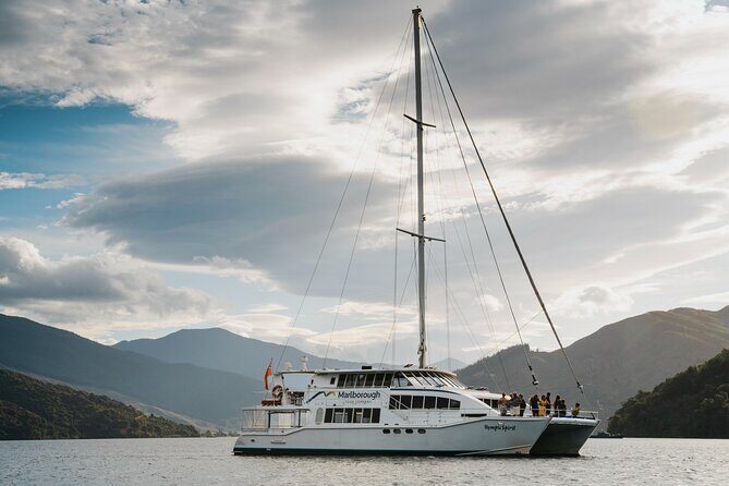 Marlborough Sounds Greenshell Mussel Tasting Cruise - Sitting Inside vs. Outside on a 3-Hour Catamaran Cruise