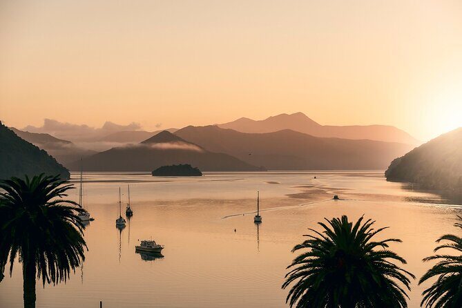 Marlborough Sounds Greenshell Mussel Tasting Cruise - Wine Pairings You Can Buy Onboard (and How to Budget)