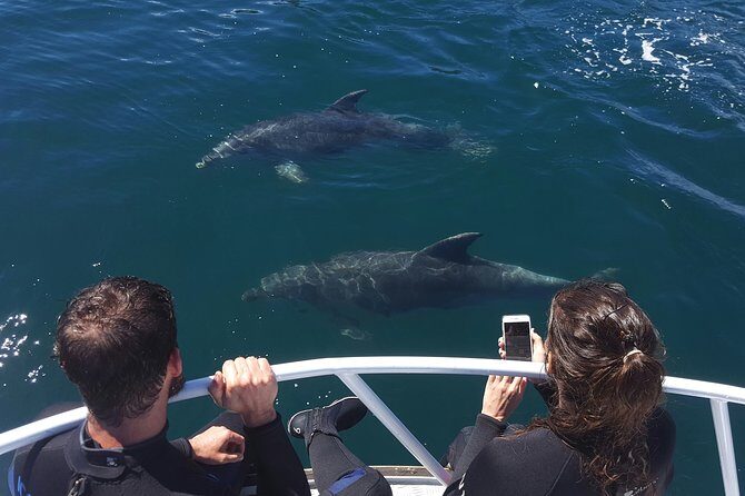 Marlborough Sounds Ultimate Cruise - Key Things I’d Pay Attention To