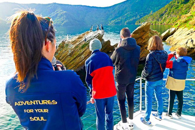 Marlborough Sounds Ultimate Cruise - On the Water for Around Four Hours: Marine Wildlife Scanning