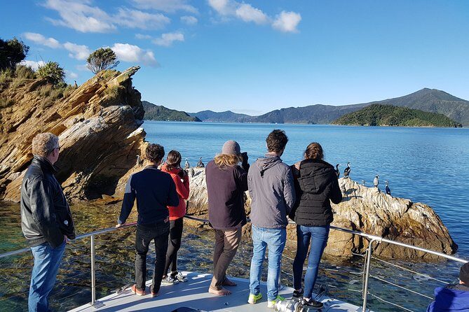 Marlborough Sounds Ultimate Cruise - Weather, Seating, and Packing Tips That Save the Day