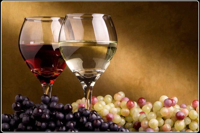 Marlborough Wine Region Tour from the Port of Picton - Value for about $183: what you get that you’d otherwise spend time and money on