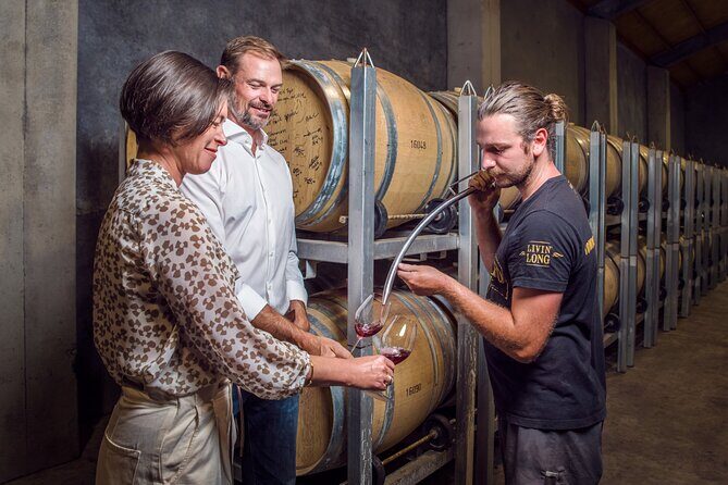 Marlborough Wine Tour - Afternoon of Cuisine & Wine 4hrs - Price and what you actually get for $121.01