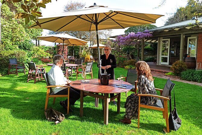 Marlborough Wine Tour - Afternoon Sippers of Wine Only 4hrs - Group size and comfort: what “small group” means for your experience