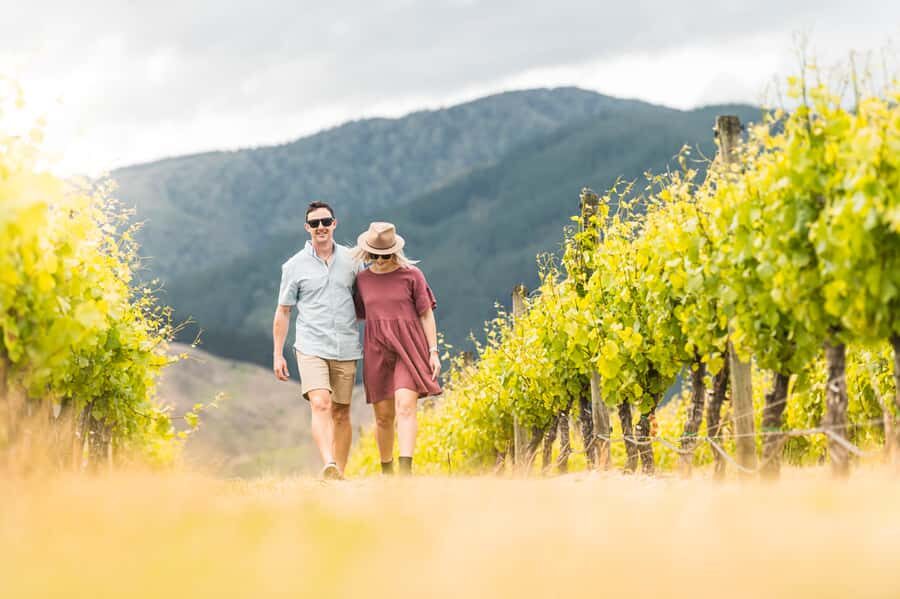Marlborough: Wineries Visit and Tasting Session - Key things I’d mark on your mental map