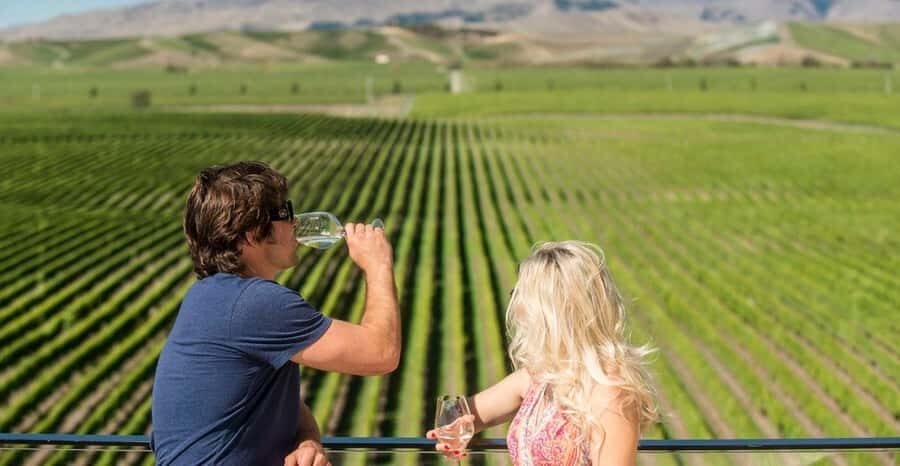 Marlborough: Wineries Visit and Tasting Session - Who should book this Marlborough afternoon tour