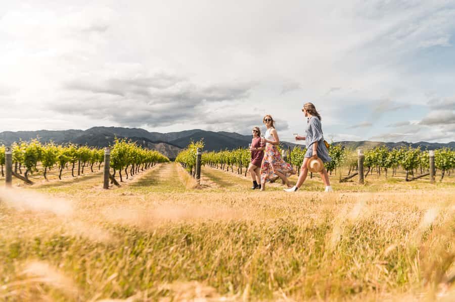 Marlborough: Wineries Visit and Tasting Session - Getting on the van: Blenheim pickup and timing that avoids the worst part
