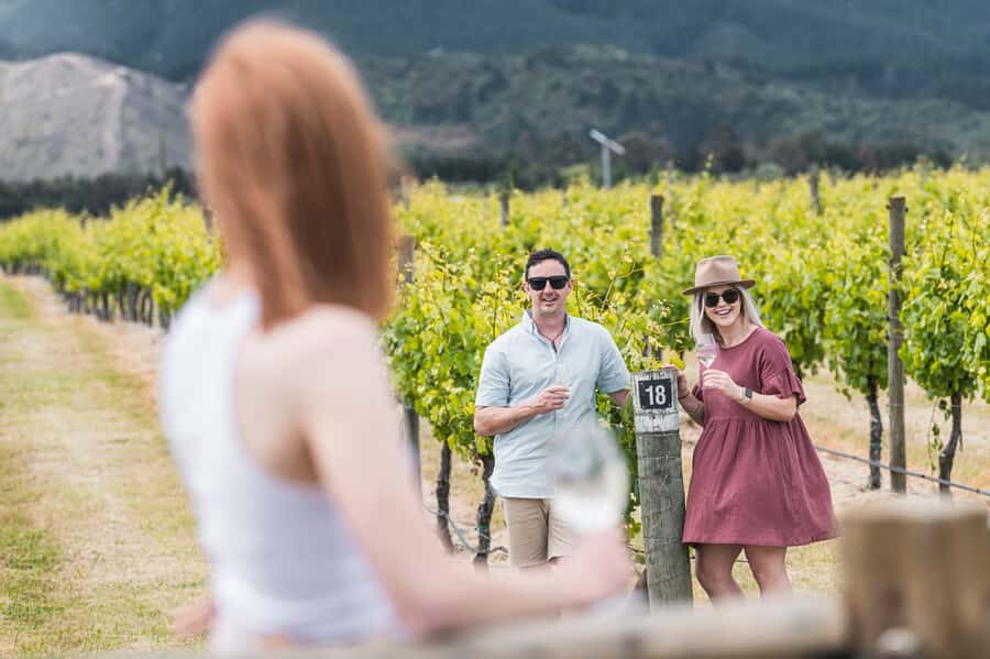 Marlborough: Wineries Visit with Tastings and 2-Course Lunch - Key highlights worth knowing