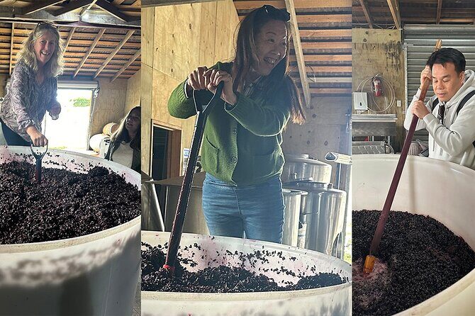 Martinborough Chefs shared wine tour ŵ lunch from Wellington - Key things I’d plan around
