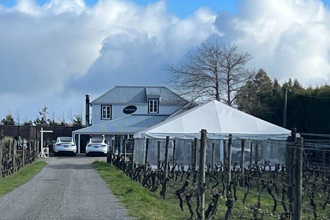 Martinborough Private Food and Wine Tour in Tesla SUV - Key things that make this tour work well
