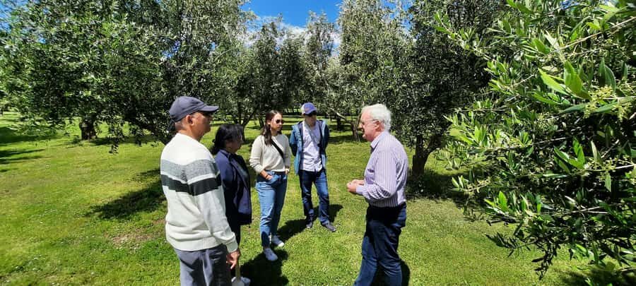 Martinborough Wine and Food Tour with Lunch from Wellington - Schoc Chocolates: Why This Stop Works Even if You Think You Don’t Like Chocolate