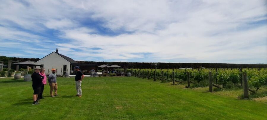 Martinborough Wine and Food Tour with Lunch from Wellington - Martinborough Olive Grove and Olive Oil Tasting: Practical Learning You’ll Use