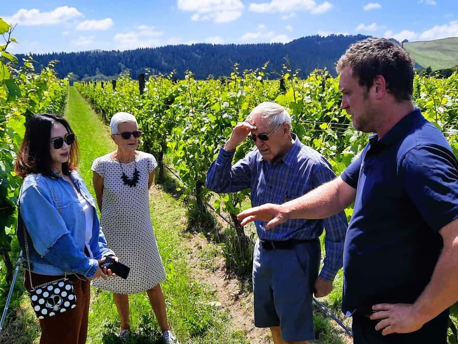 Martinborough Wine and Food Tour with Lunch from Wellington - The 8-Hour Flow: From Wellington Over Remutaka Ranges to Wairarapa