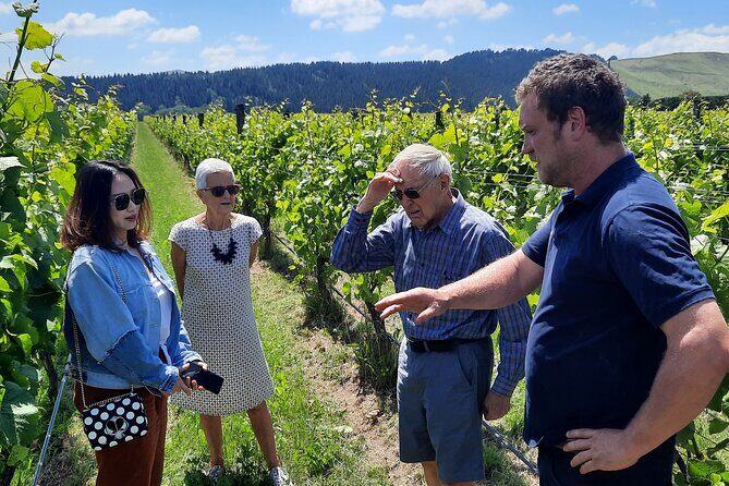 Martinborough Winery and Foodie Day Tour with vineyard lunch - Key points before you go