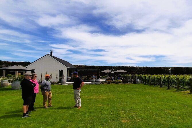 Martinborough Winery and Foodie Day Tour with vineyard lunch - Winemaker-led vineyard tour and vineyard lunch: how the bottle gets made
