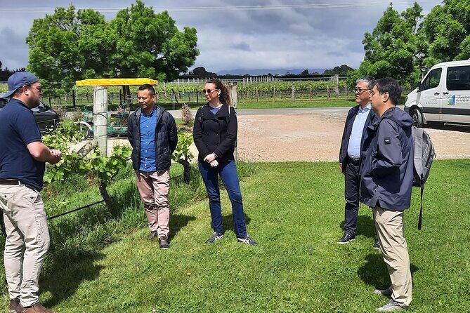 Martinborough Winery and Foodie Day Tour with vineyard lunch - Olivo olive grove and olive oil tasting lesson: the surprise highlight