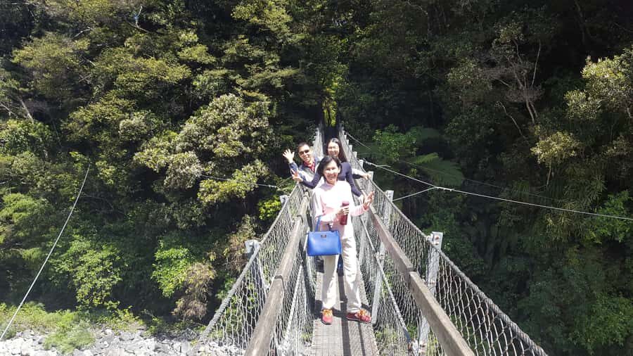 Martinborough Winery and South Wairarapa Wild Coast Tour - Featherston and Greytown: cheese and chocolate stops that keep the day fun