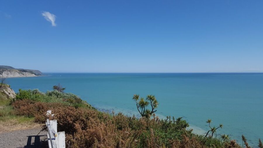 Martinborough Winery and South Wairarapa Wild Coast Tour - Price and value: does $229 make sense for a 10-hour day?