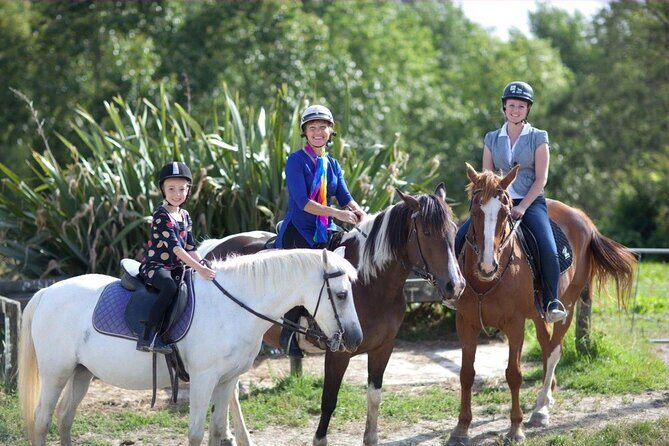 Matakana Art & Horse Riding Experience Private Tour From Auckland - Key points worth knowing