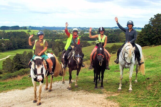 Matakana Art & Horse Riding Experience Private Tour From Auckland - A day trip built like four mini-adventures