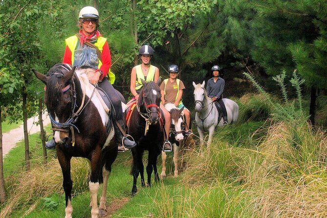 Matakana Art & Horse Riding Experience Private Tour From Auckland - Price and value: what $588.92 really buys you