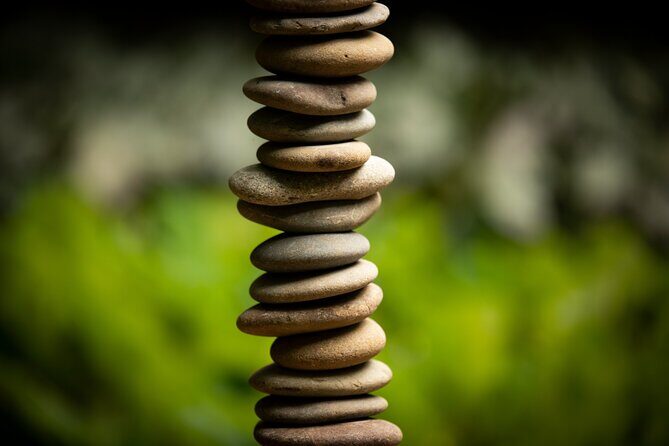 Matakana Art & Vineyard Experience incl. Lunch & Wine Tasting Tour From Auckland - Price and What You’re Really Paying For
