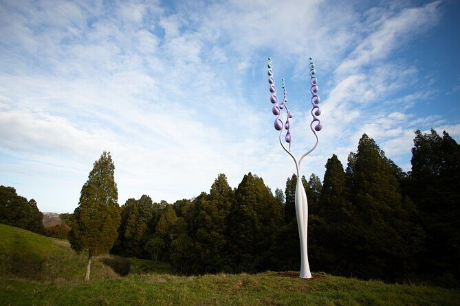 Matakana Art & Vineyard Experience incl. Lunch & Wine Tasting Tour From Auckland - Brick Bay Sculpture Trail: Art in Native Bush (and Time to Wander)