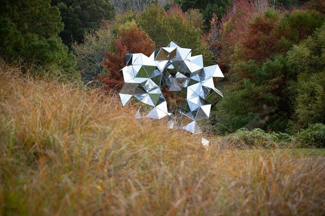 Matakana Art & Vineyard Experience incl. Lunch & Wine Tasting Tour From Auckland - Starting at Auckland Central: Your Morning Setup Matters