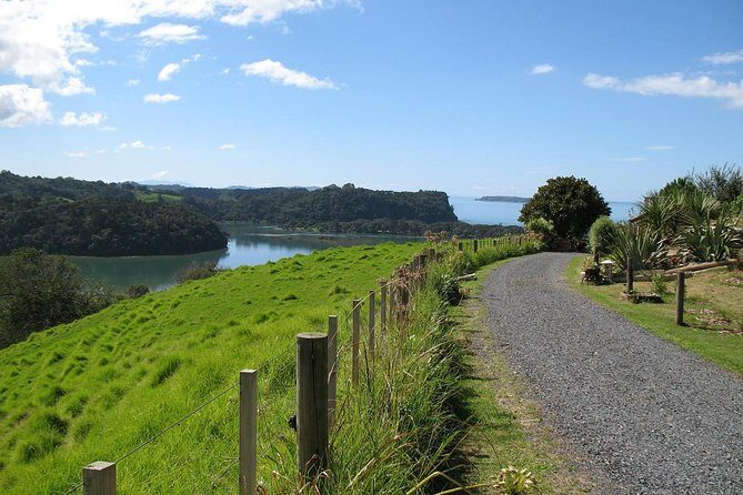 Matakana Scenic Coastal Getaway from Auckland - Key things that make this tour worth your time
