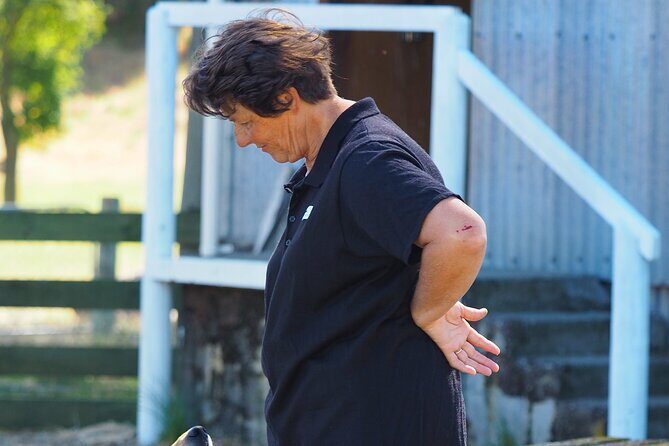 Merino Farm Experience - A Canterbury Merino Farm Kept in the Same Family Since 1884