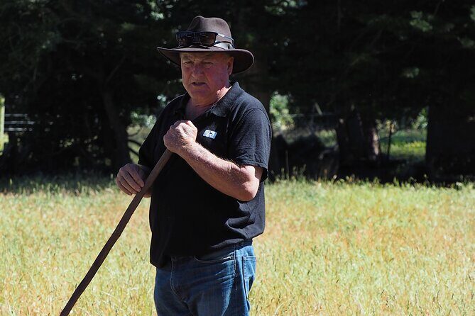 Merino Farm Experience - Hilltop Views Over the Southern Alps and Rivers