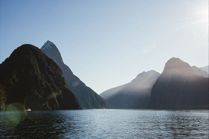 Milford Sound Business Class from Queenstown Cruise Lunch - Food, Drinks, and Dietary Needs: Plan Like a Pro