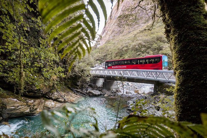Milford Sound Coach & Cruise ex Te Anau Stunning Views with Lunch - The Milford Road views you can enjoy without white-knuckling it